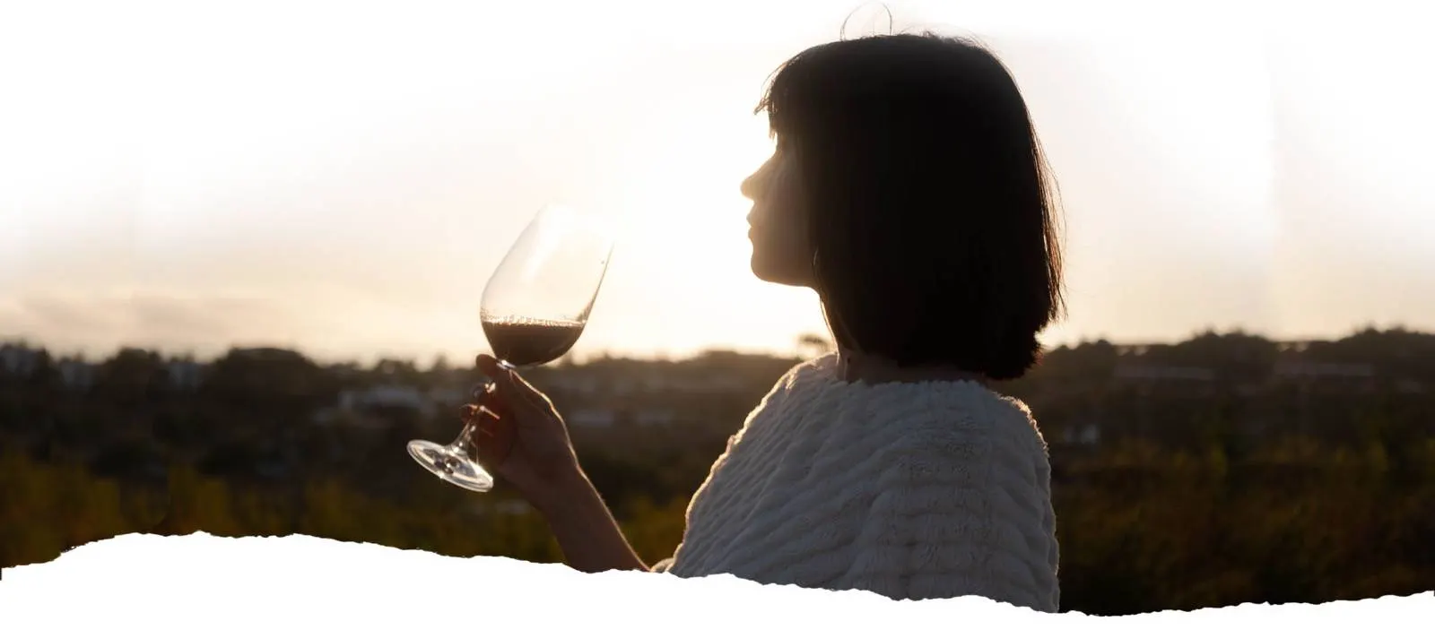 Ruta del vino Jumilla: bodegas, gastronomía y catas que no te puedes perder