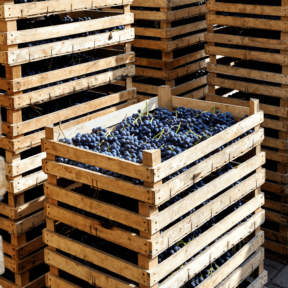 Caja de madera de vinos Delampa
