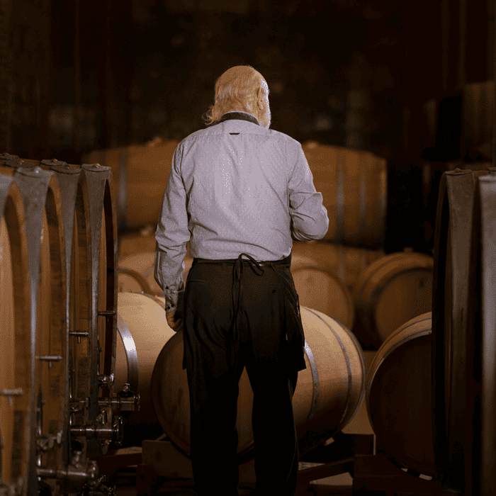 Visita a Bodegas Delampa en Jumilla